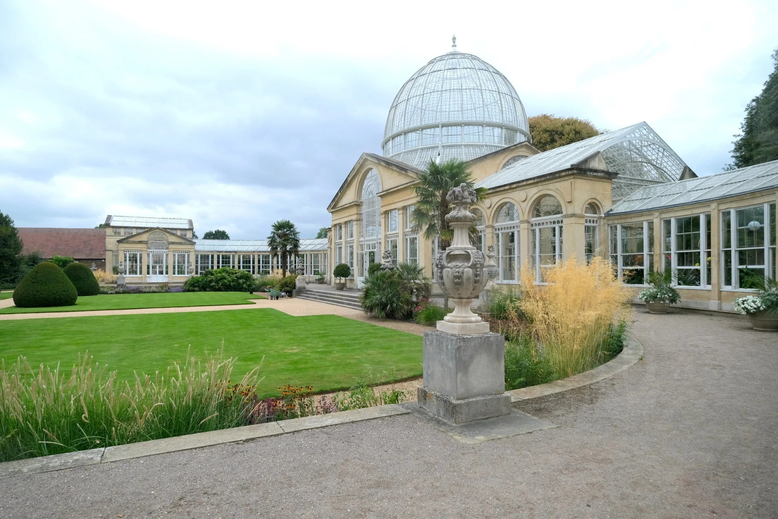 The Great Conservatory - Richmond - Photoshoot, film, event, location UK. Victorian glasshouse with ferns. cacti and historic gardens.