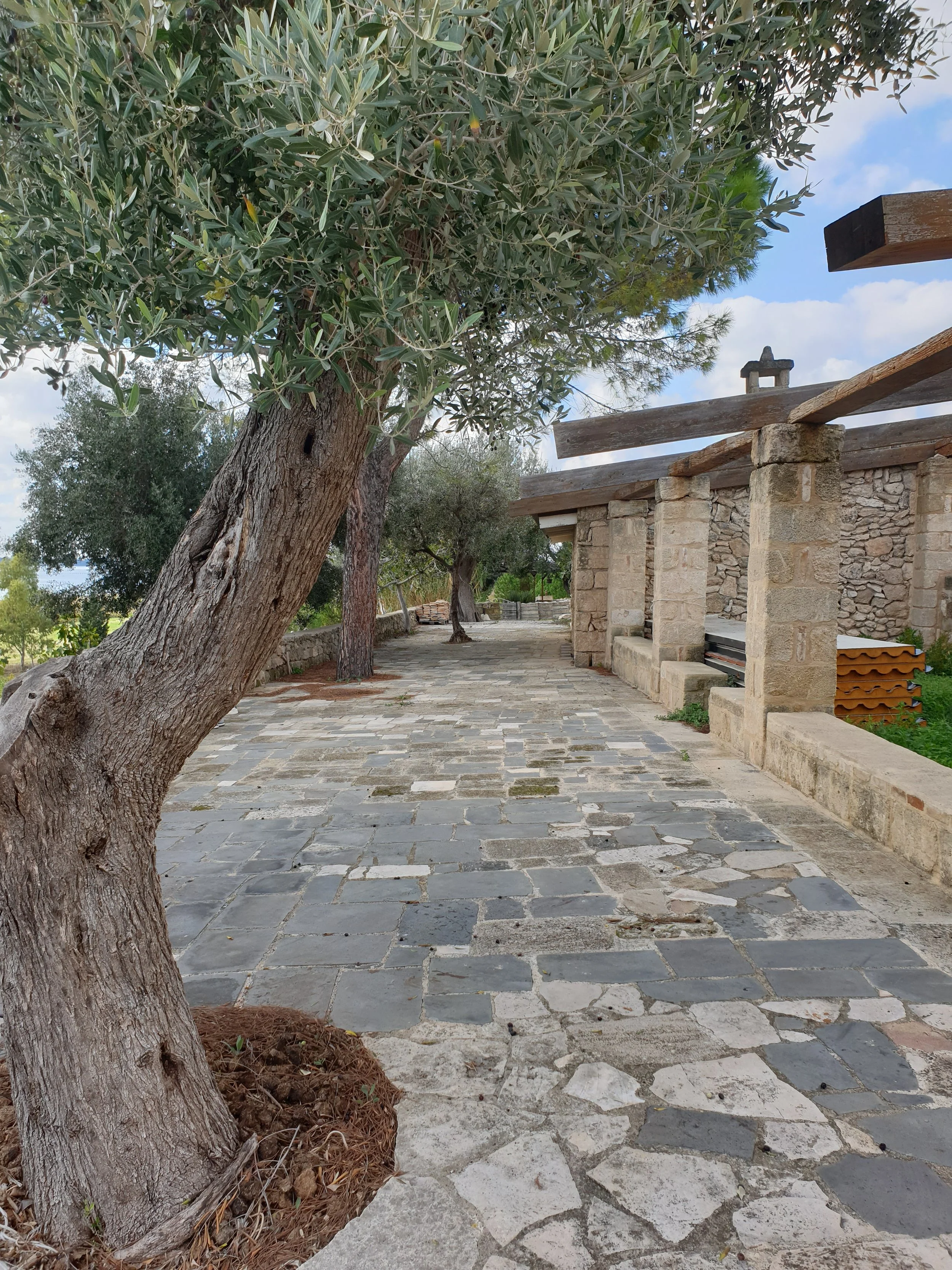 5. surroundings (21).jpg