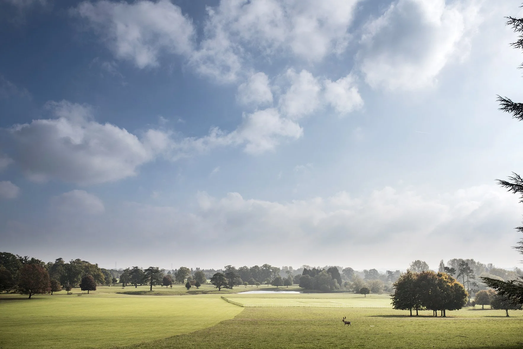Englefield House Deer Park.jpg