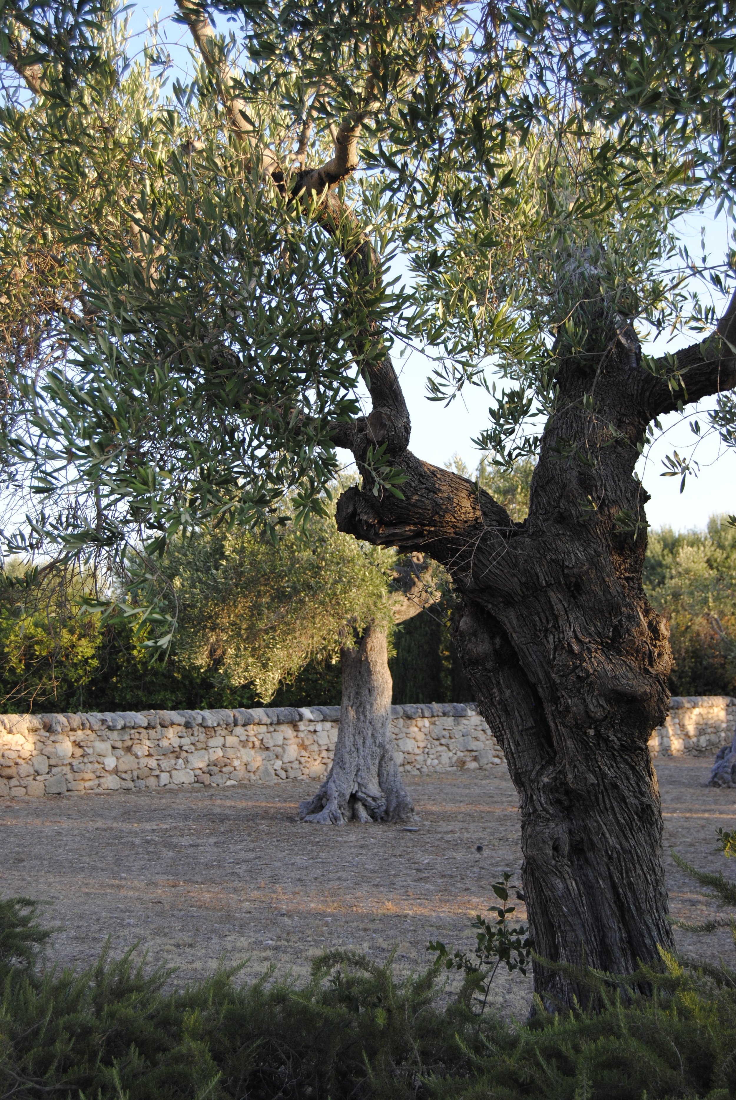 1. the building (13).JPG