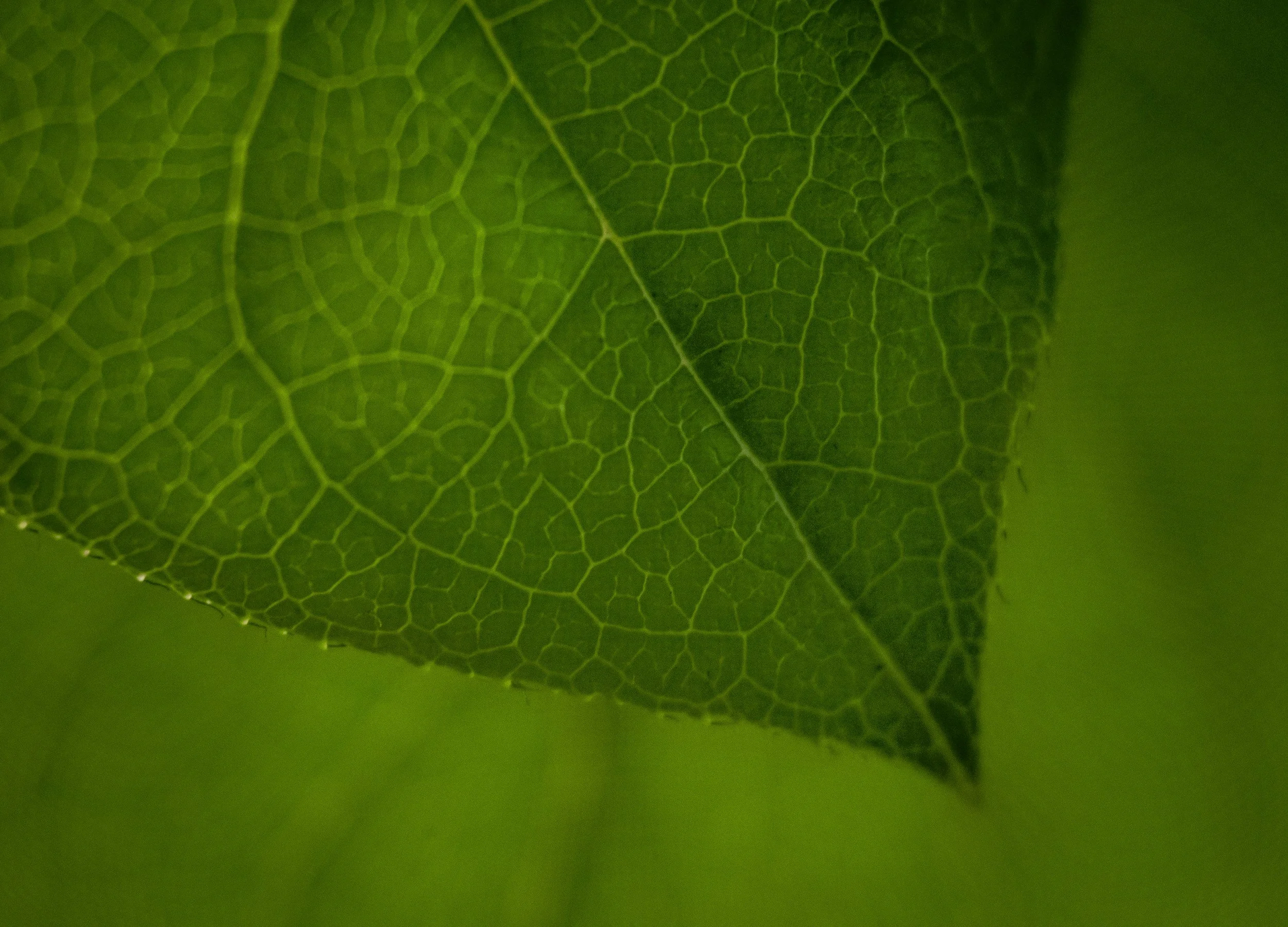 unsplash-image-TTuE9i_S3RI.jpg