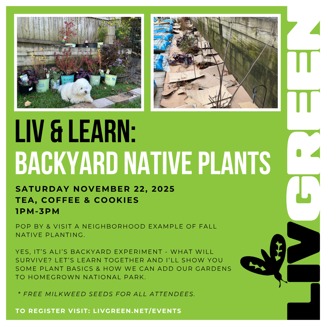 Liv &amp; Learn: BACKYARD Native Planting