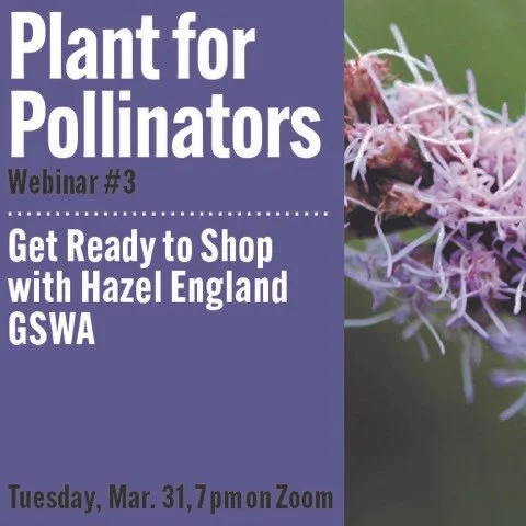 Plant for Pollinators - Get Ready to Shop Webinar