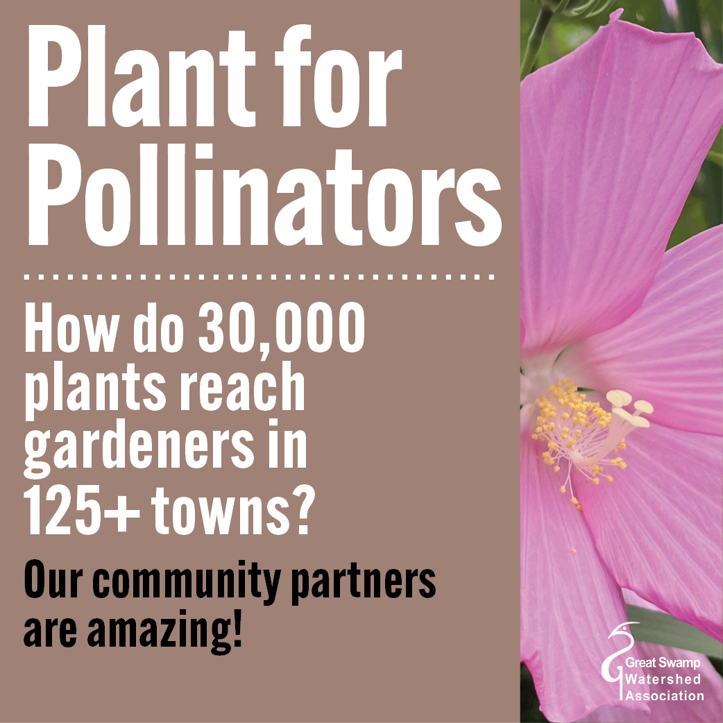 Plant for Pollinators: Sale Pick Up