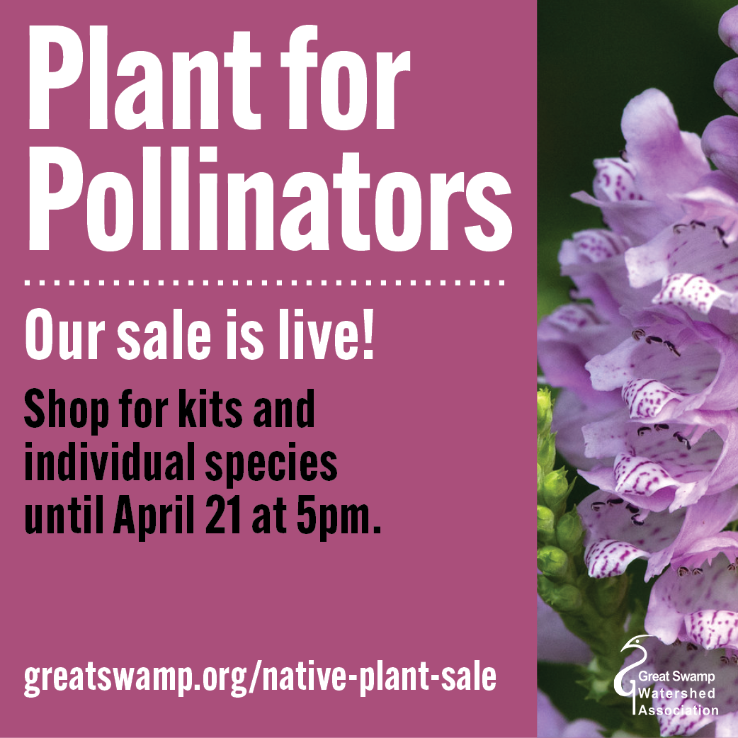 Plant Sale Is Live! Plant for pollinators 