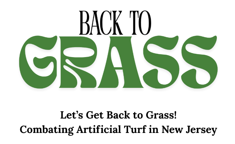 Combating Artificial Turf : Let’s Get Back to Grass