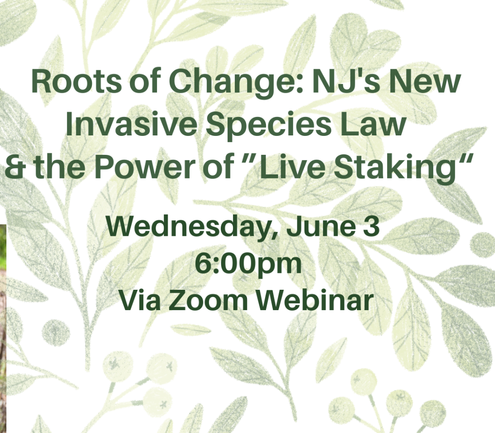 Roots of Change: NJ's New Invasive Species&nbsp;Law&nbsp;&amp; the Power of “Live StakinG”