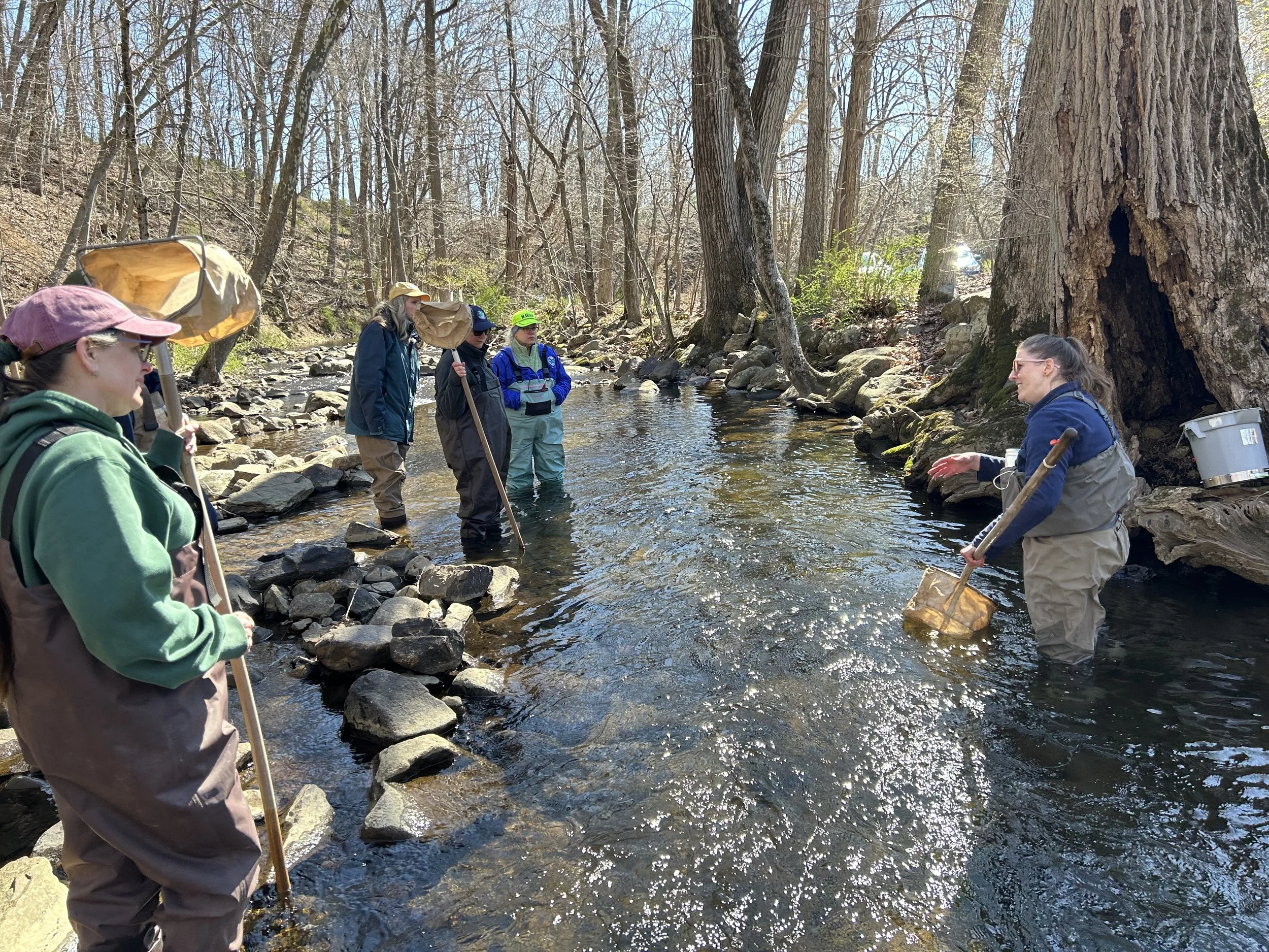 How Clean Are Our Streams? Let’s Connect With Our Watershed.
