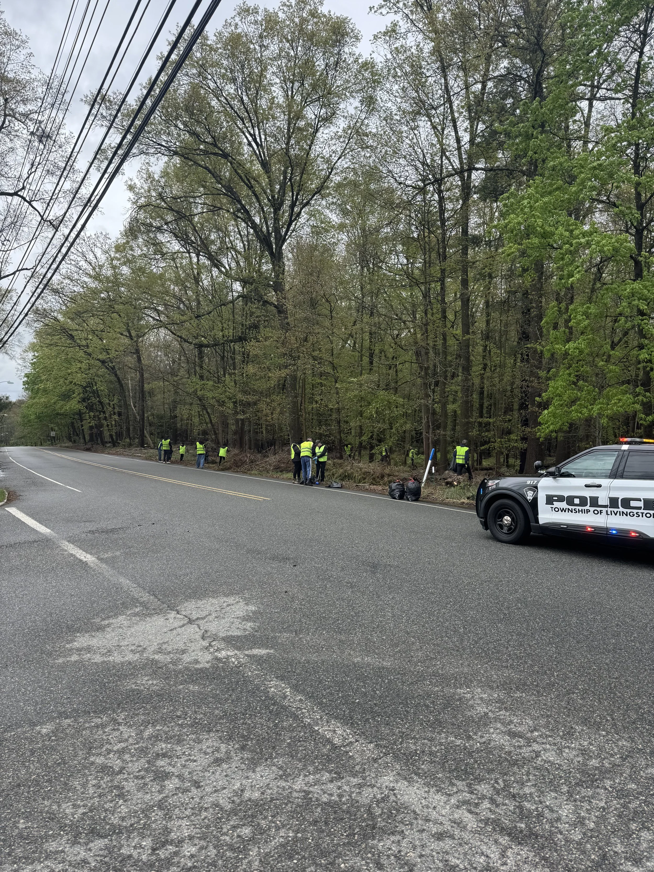 Pick-it-up Livingston: community clean-up