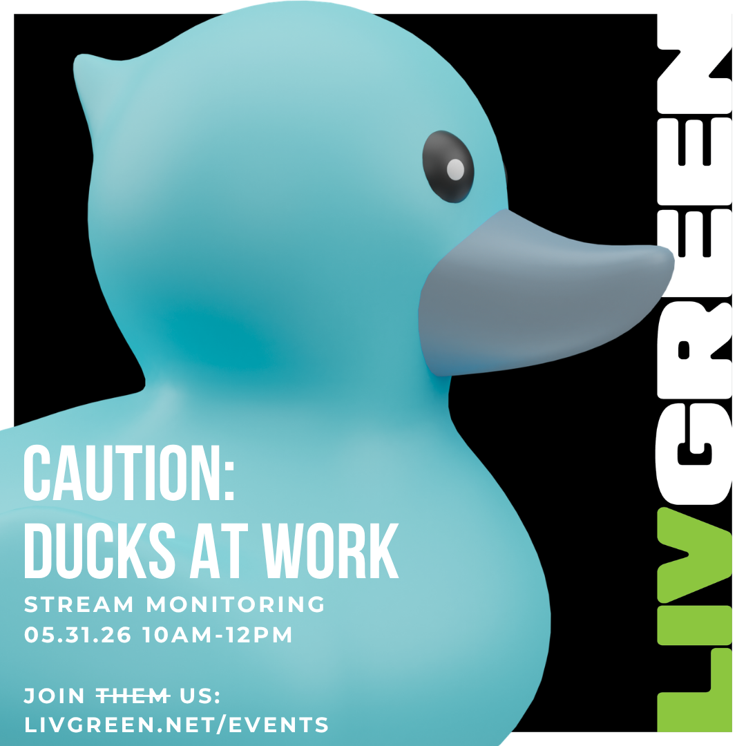 Liv &amp; Learn: STream Monitoring