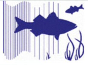 Screenshot 2025-09-13 at 11.26.20 AM.png