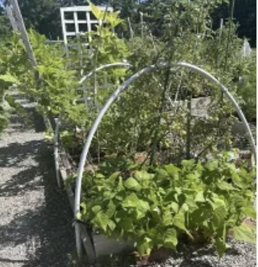 Screenshot 2025-09-02 at 10.43.07 PM.png