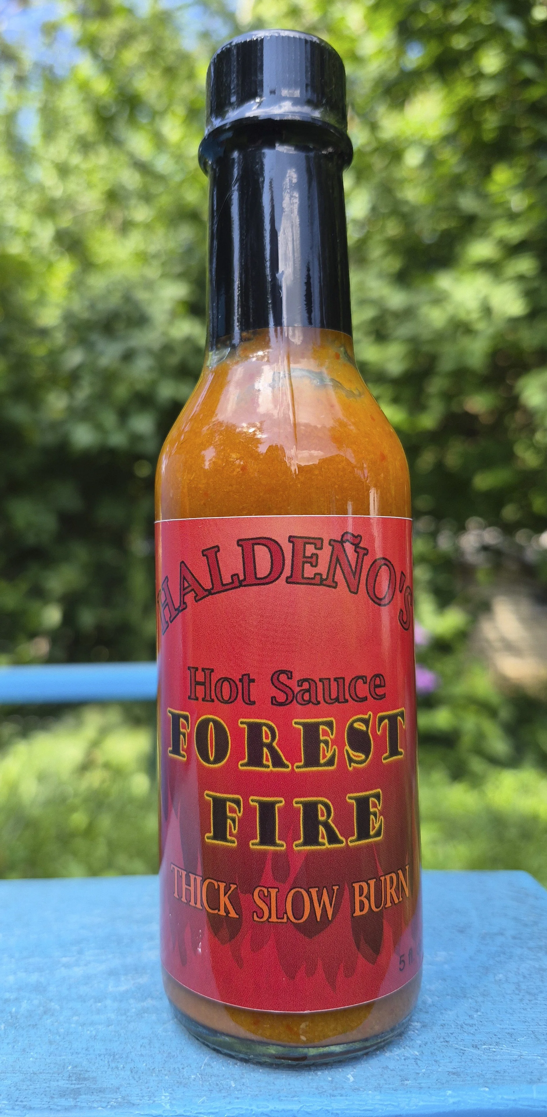 Forest Fire