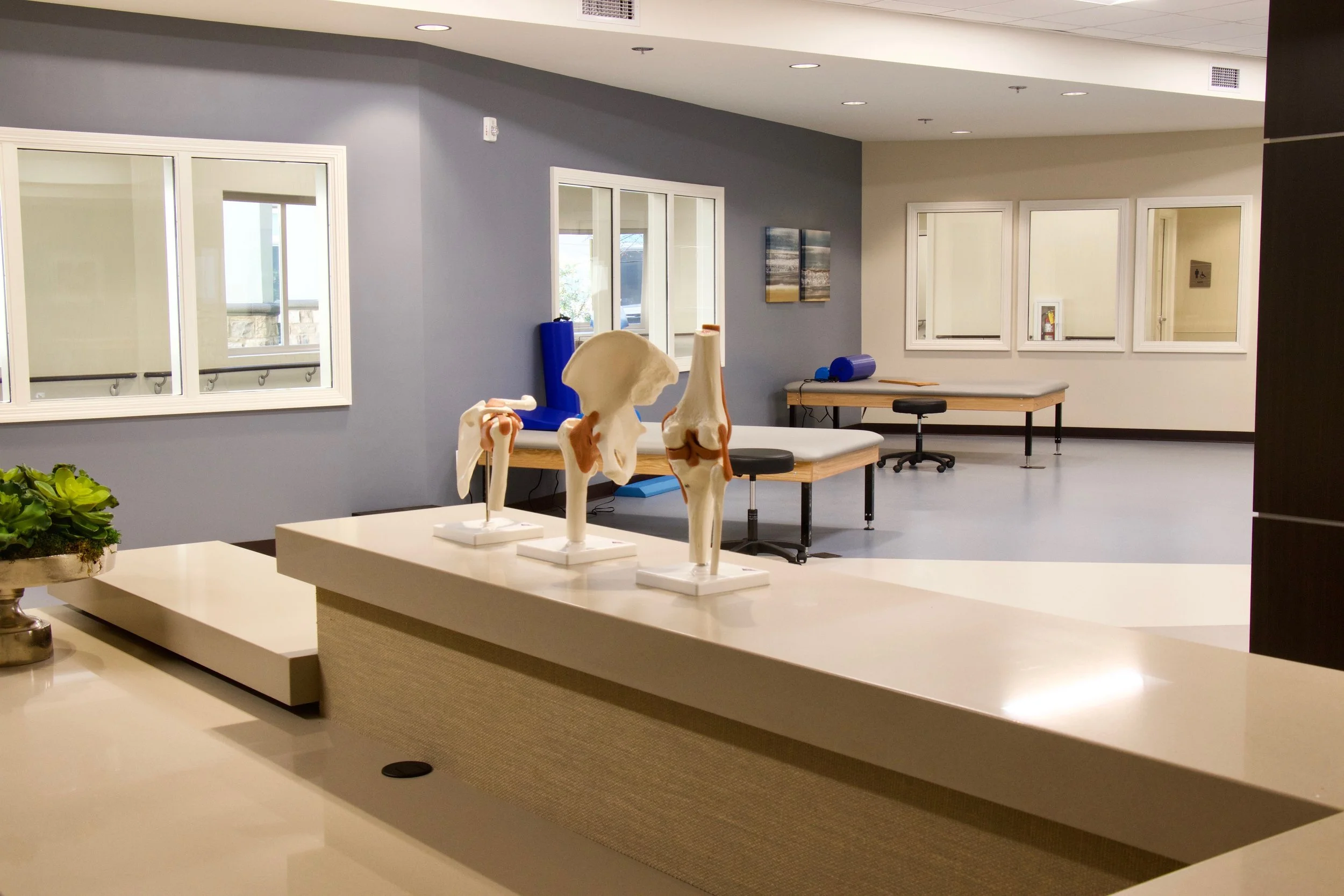 Rehab Gym