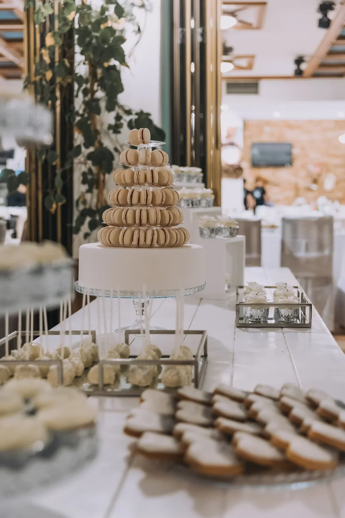 153 candy bar naxos.webp