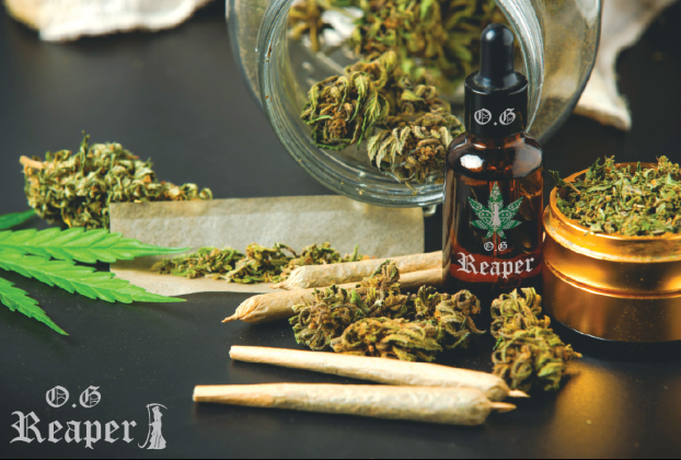 Cannabis buds, pre-rolled joints, and cannabis oil bottle on a black surface with a green cannabis leaf.
