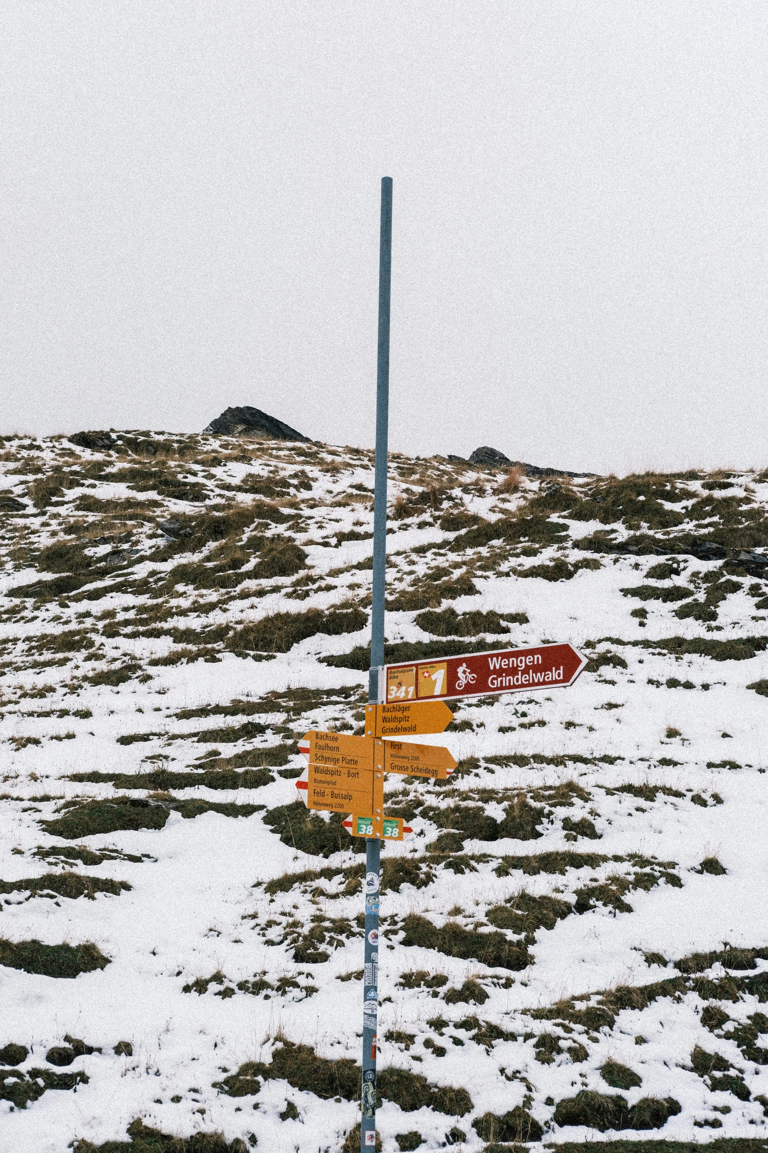 jonah-townsley-w7vOO12wPe0-unsplash.jpg