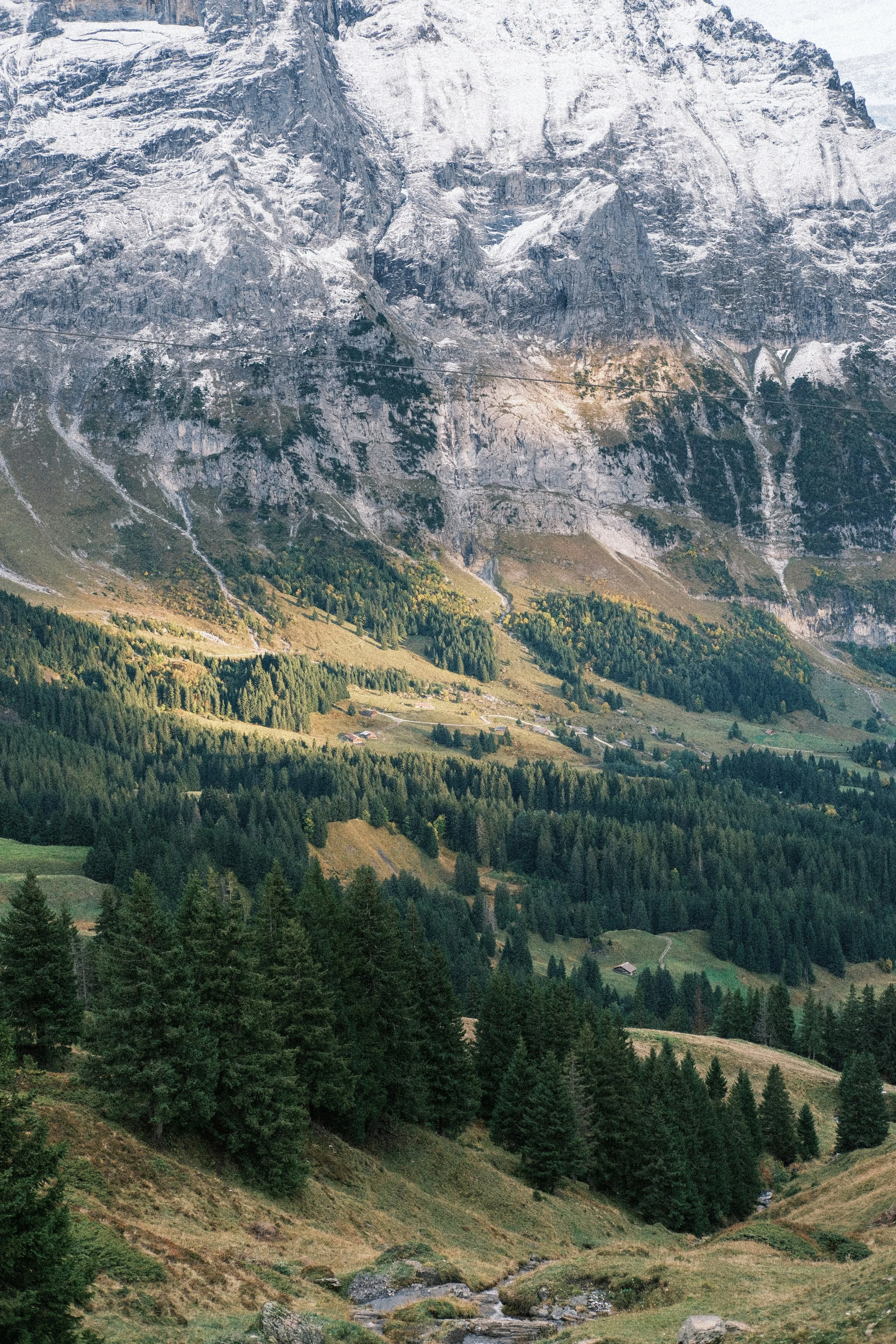 jonah-townsley-YuBFnyvkT_8-unsplash.jpg