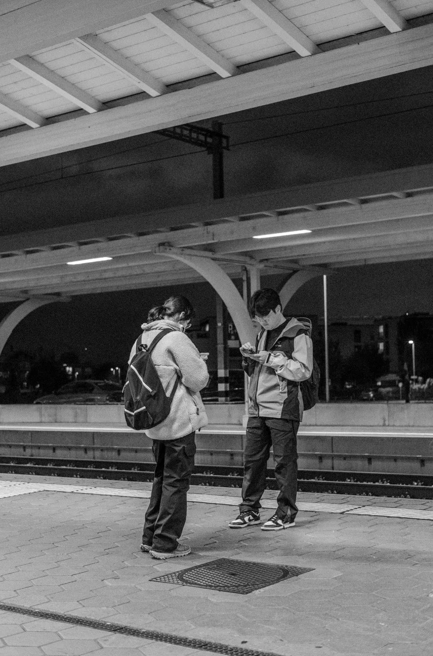 DSCF3719 Large.jpeg