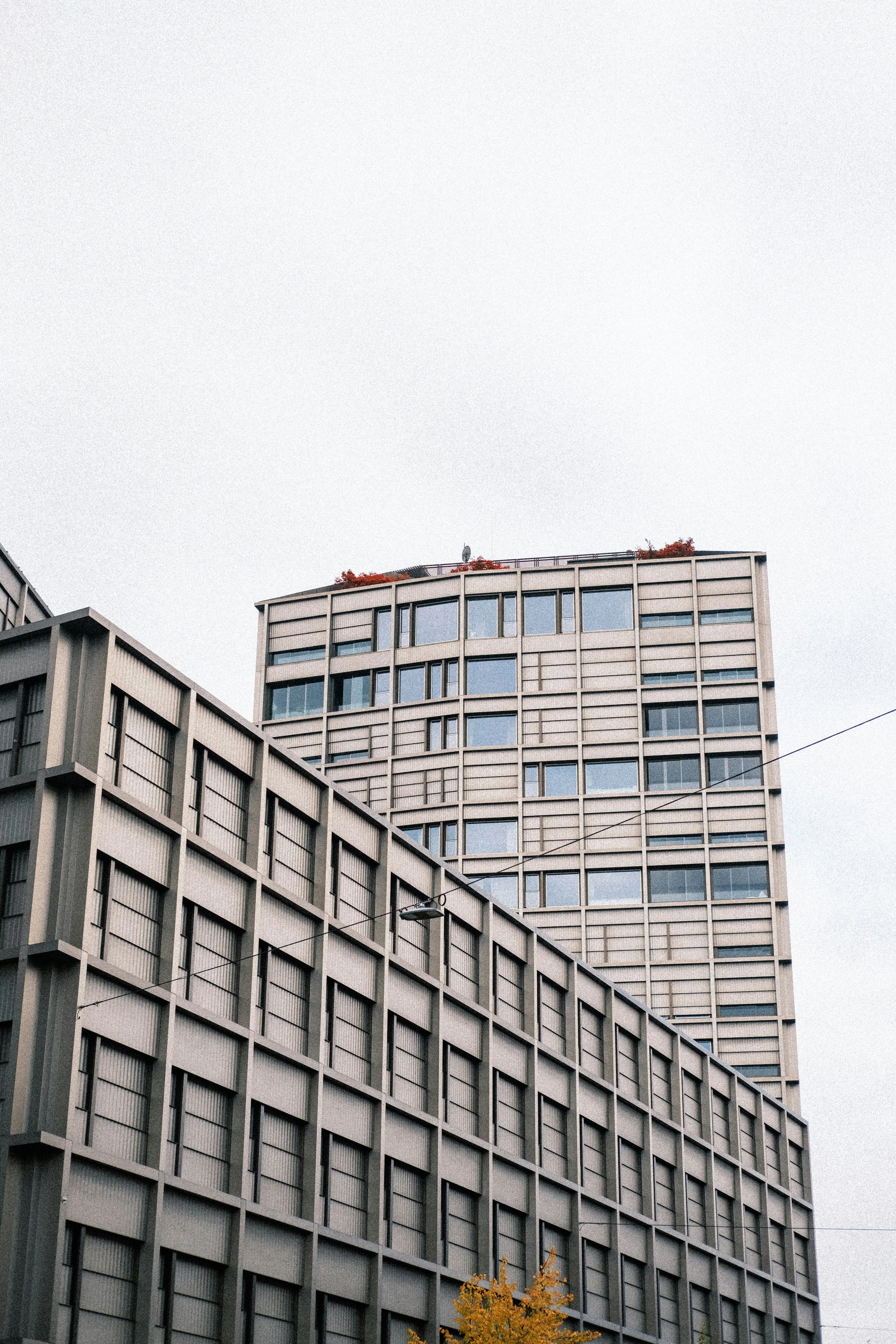 jonah-townsley-ai8Ohi6mDBg-unsplash.jpg