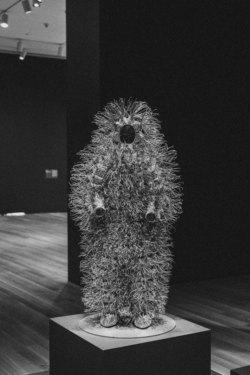 DSCF5693 Large.jpeg