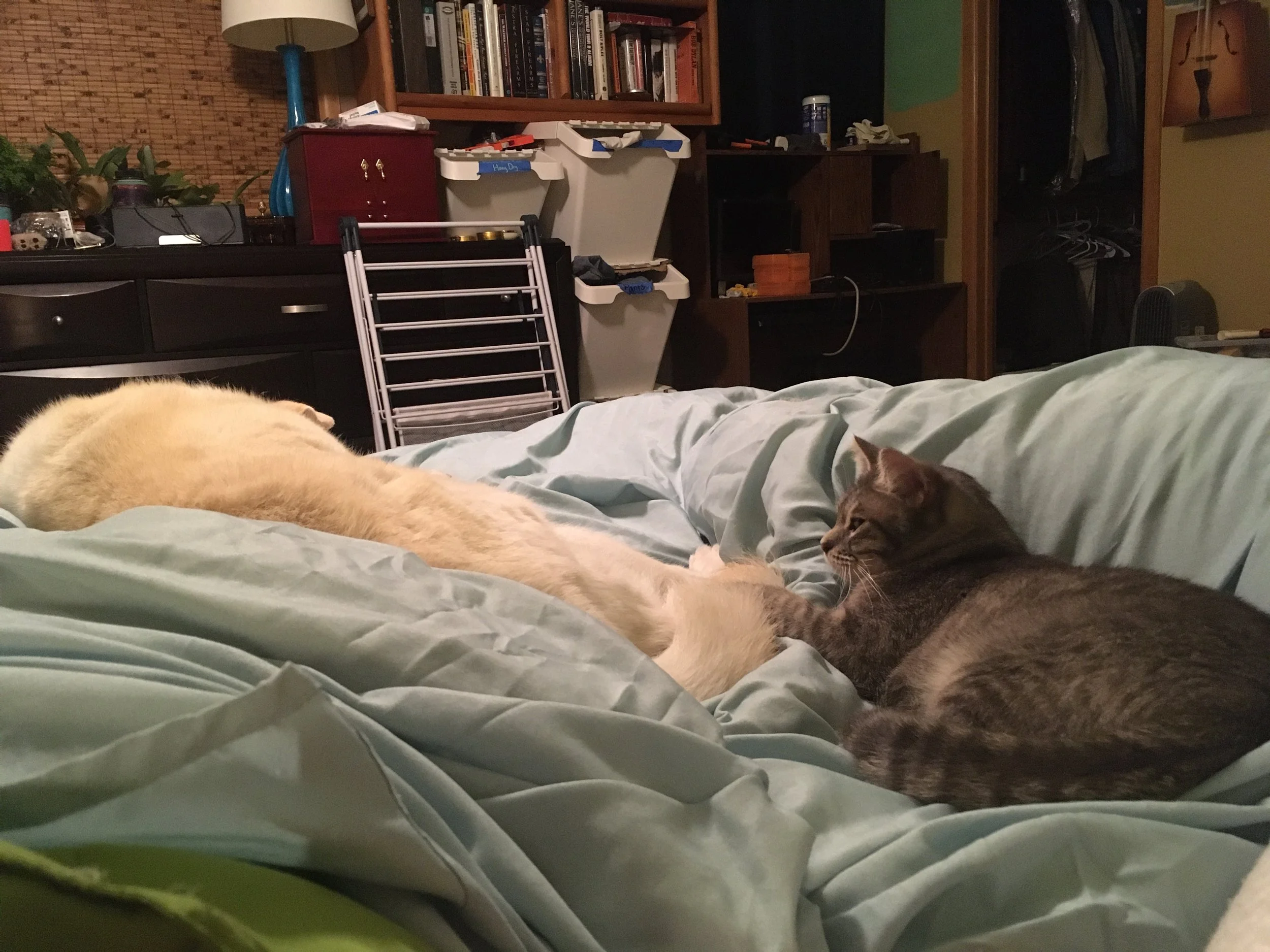 "Is the dog asleep? Will she notice?"