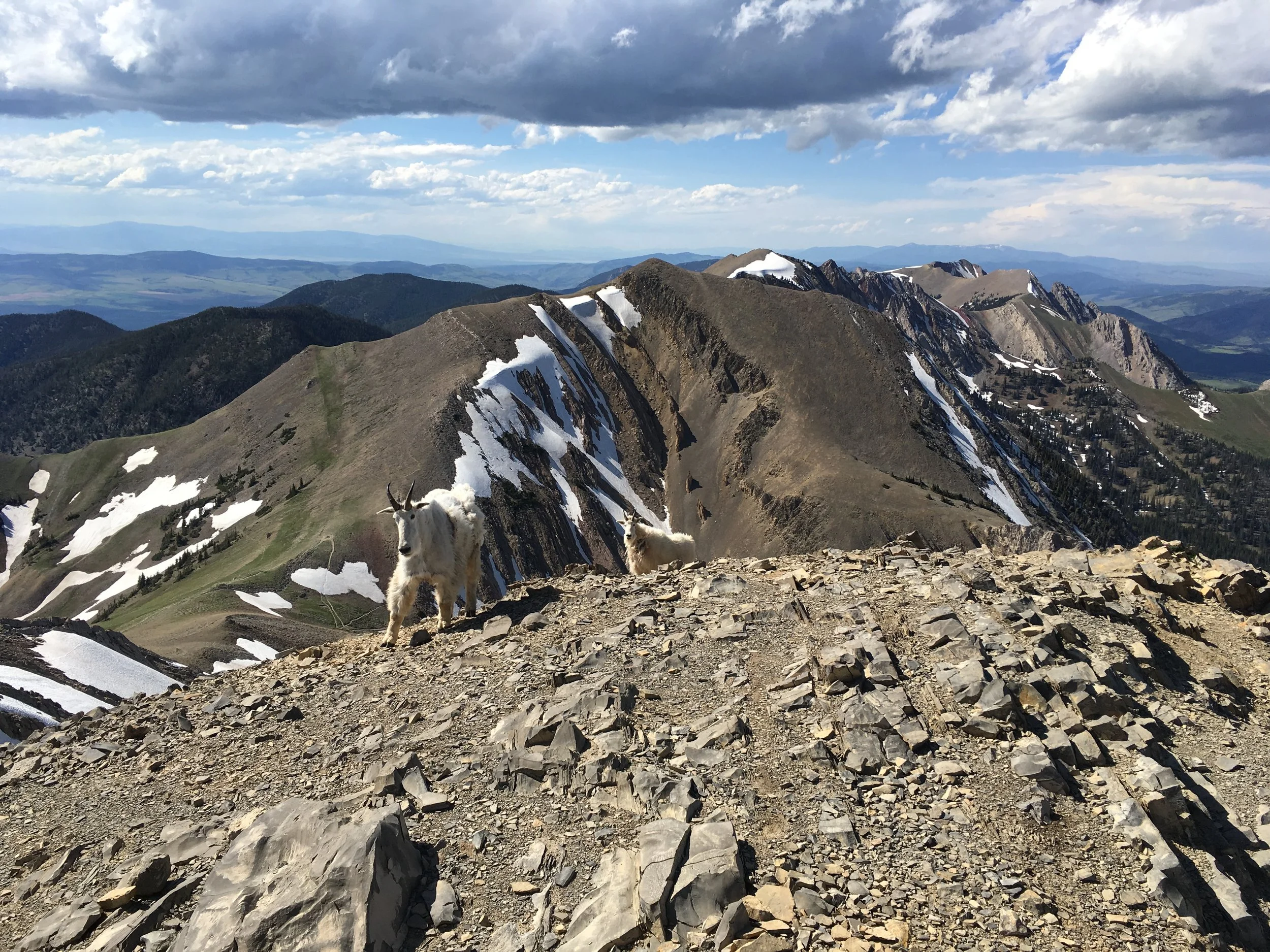 We made it up to Sacagawea Peak! (we took a medium-distance route this time)