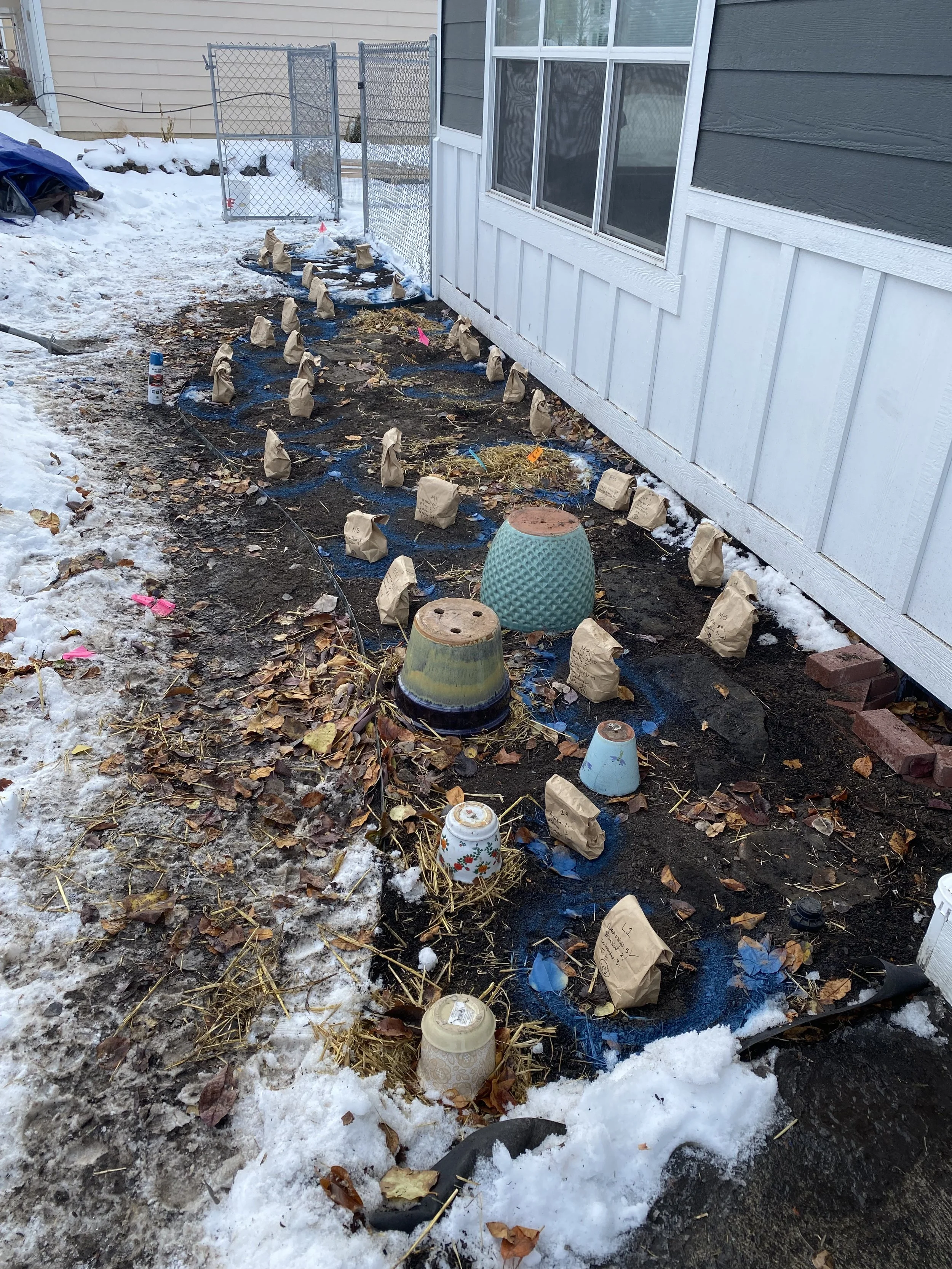 "Oops, I bought 650+ bulbs."