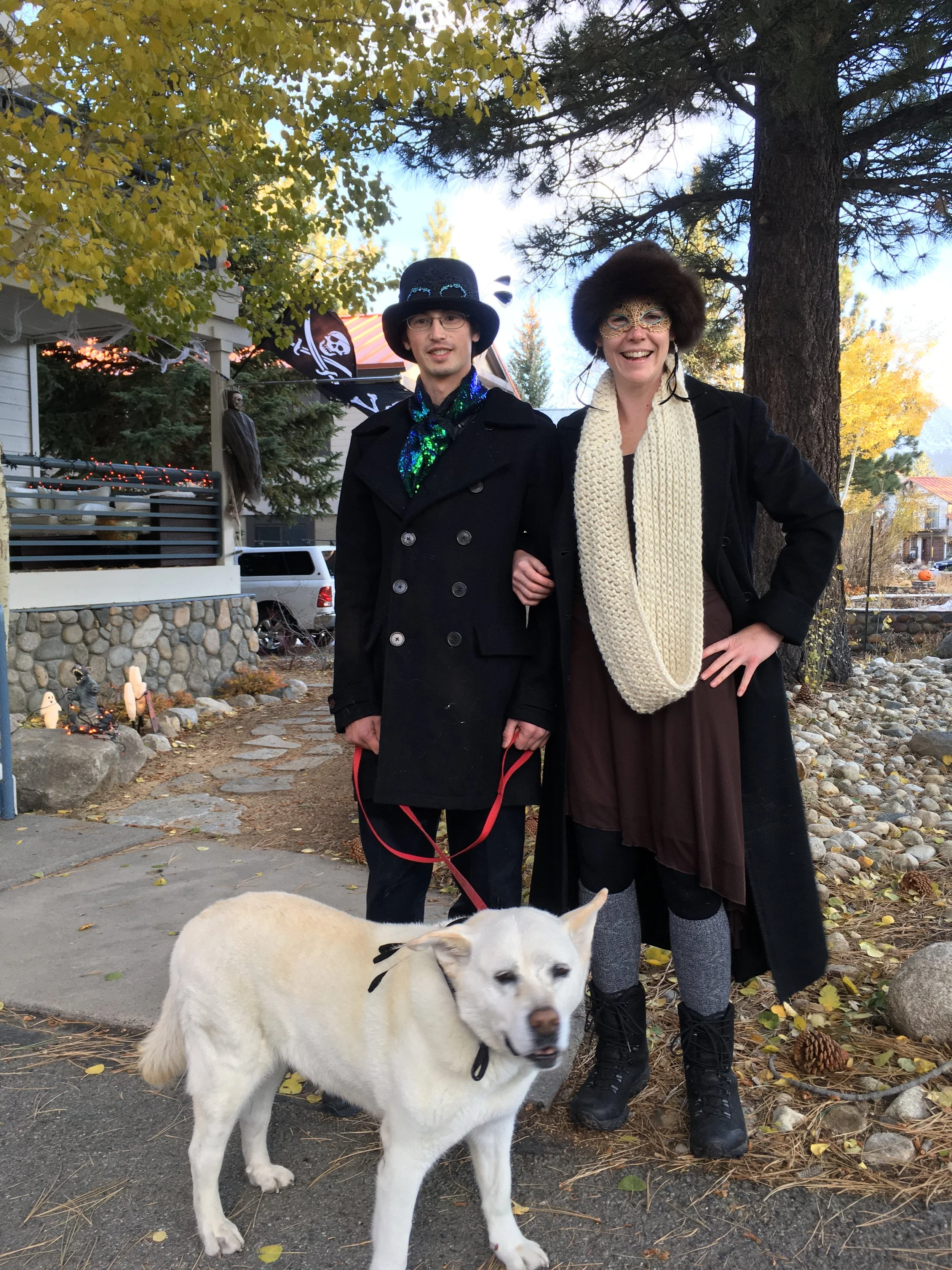 Superb birds-of-paradise.