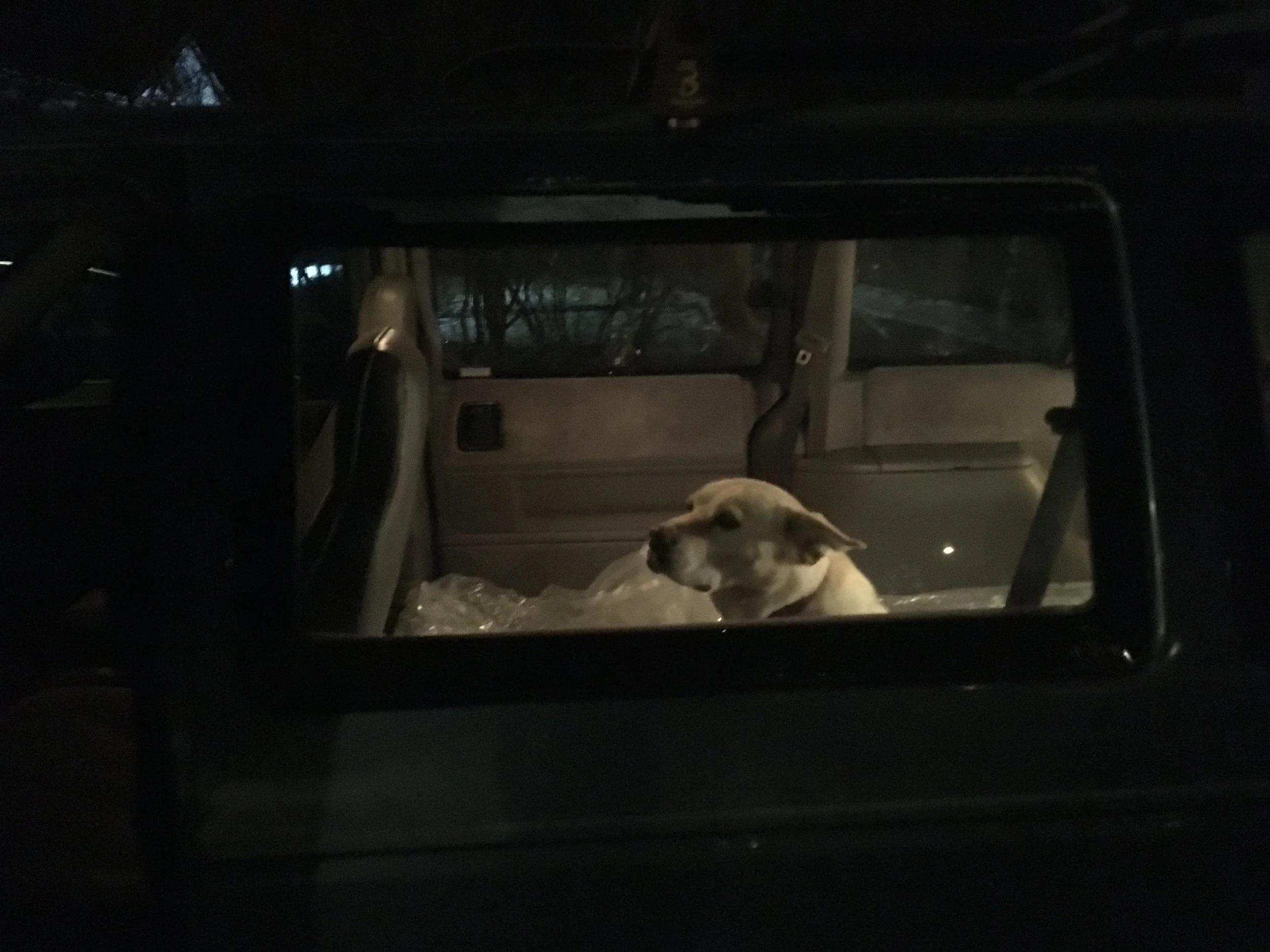 "If I get into the van, we go on an adventure, right?"