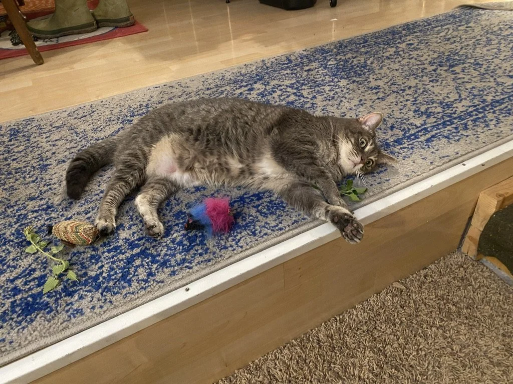 "It's because of the drugs!"
- Neil Breen, Fateful Findings