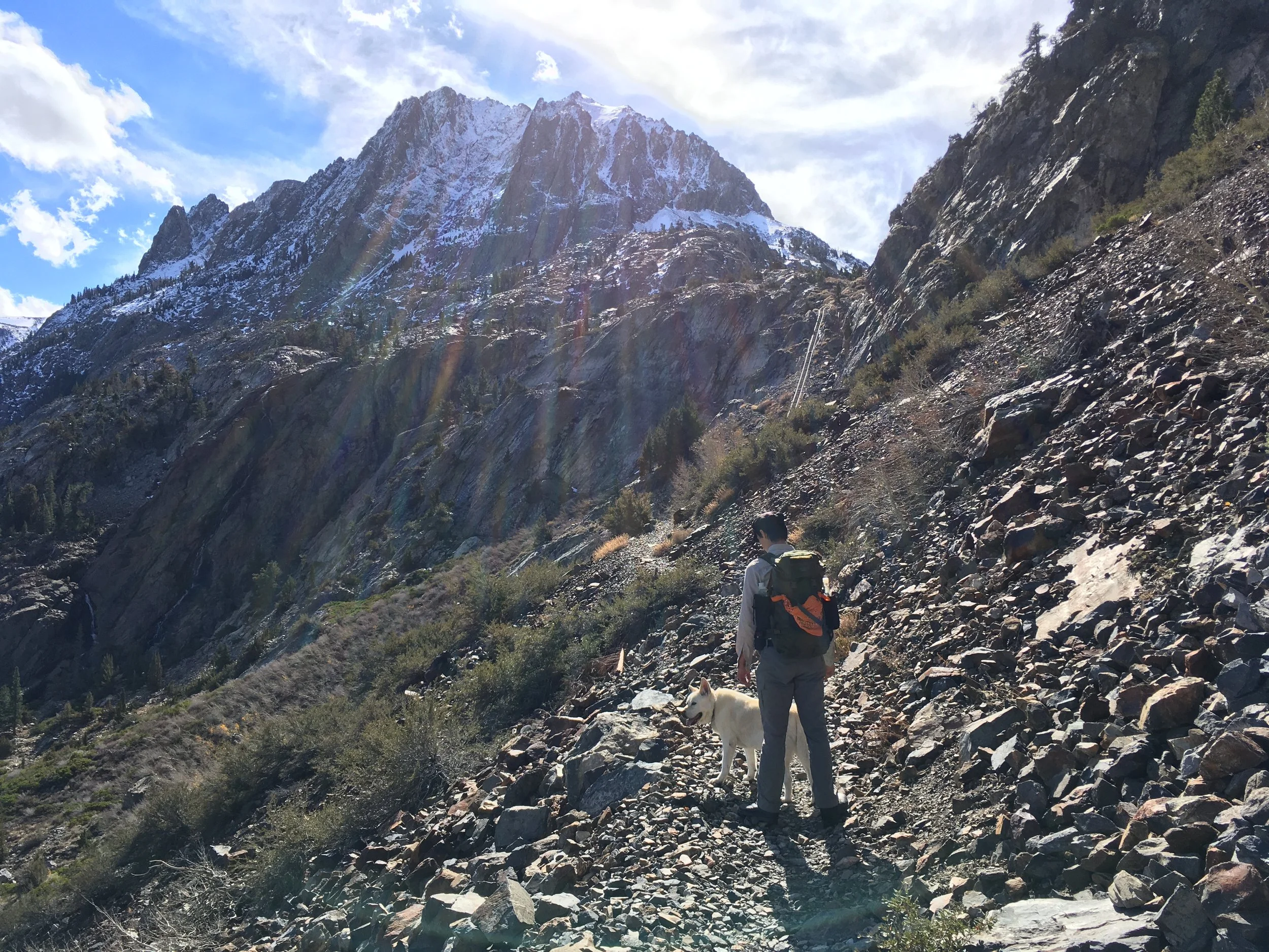Katie got to bring Oliver to her favorite place (June Lake, CA).