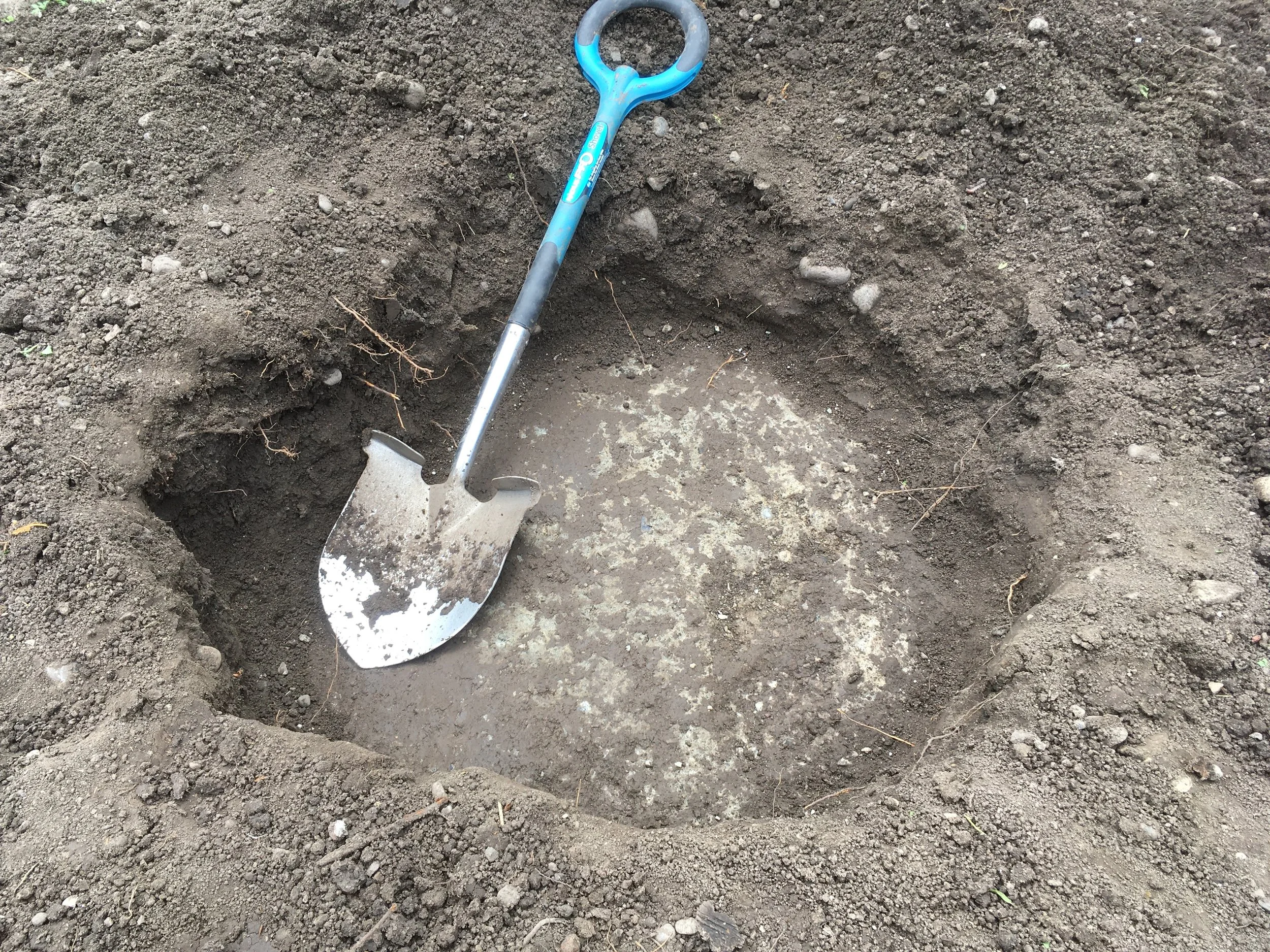 Oliver: "You know how that linden in the back yard was always sickly, and when I removed the stump, all of the roots were splayed outwards? I think I know why..."

This is an unfinished concrete slab of unknown dimensions. Oliver uncovered a 4' x 8' 