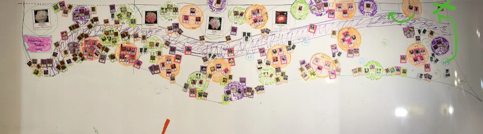 What do you mean you don't use a living room-sized whiteboard to over plan your garden beds?