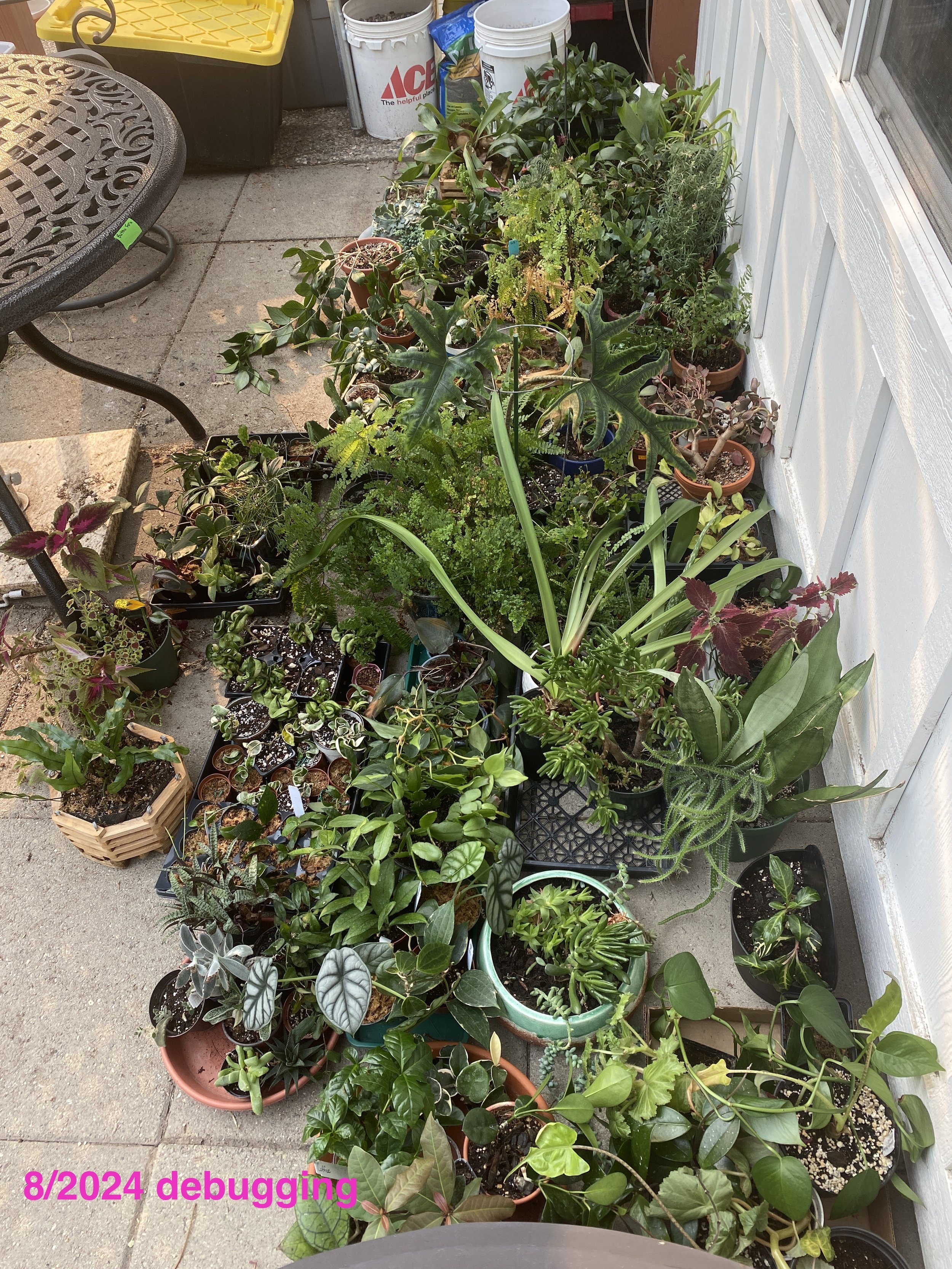 "Katie cannot safely work at plant nurseries" ex. 5