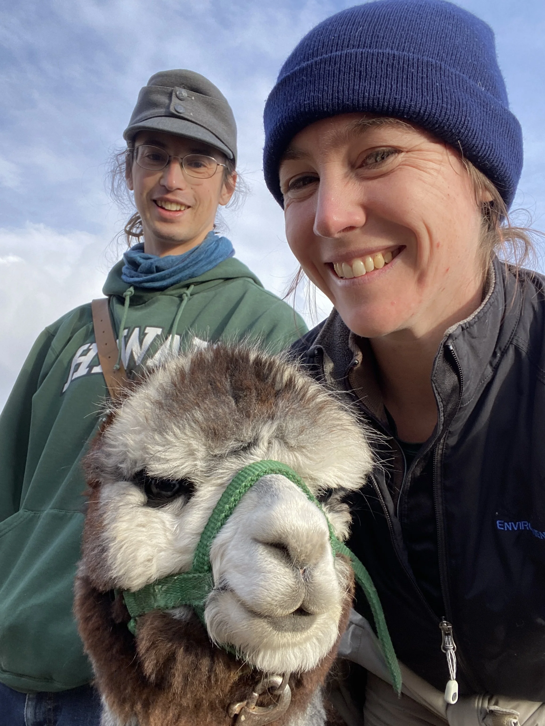 Katie and Oliver helped train alpaca babies in 2025.