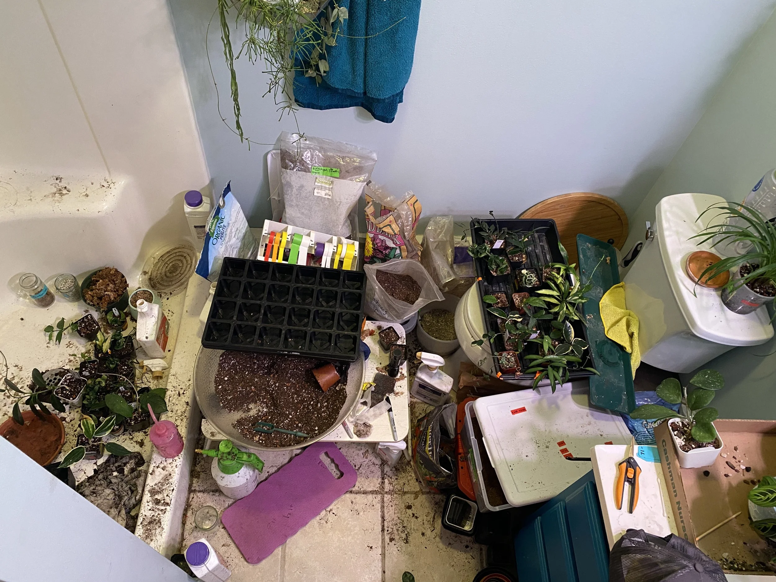 When it's winter out, but you need to repot and insecticide all of your indoor plants. ("Katie cannot safely work at plant nurseries" ex. 6)