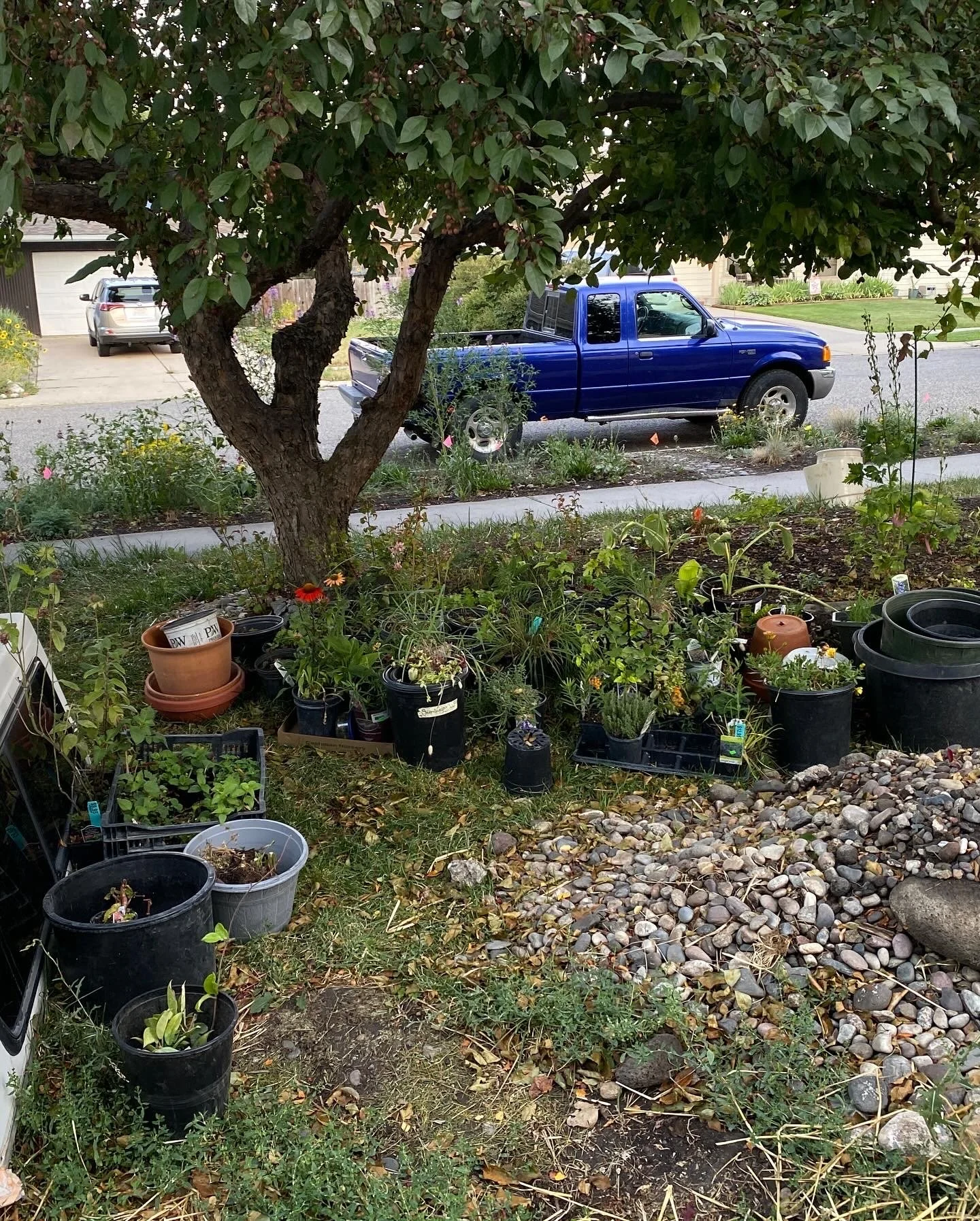 "Katie cannot safely work at plant nurseries" ex. 4