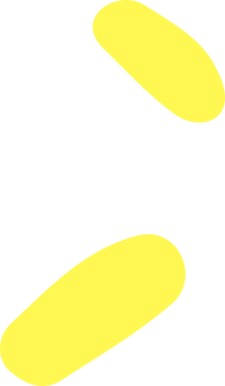 Two yellow oval shapes.