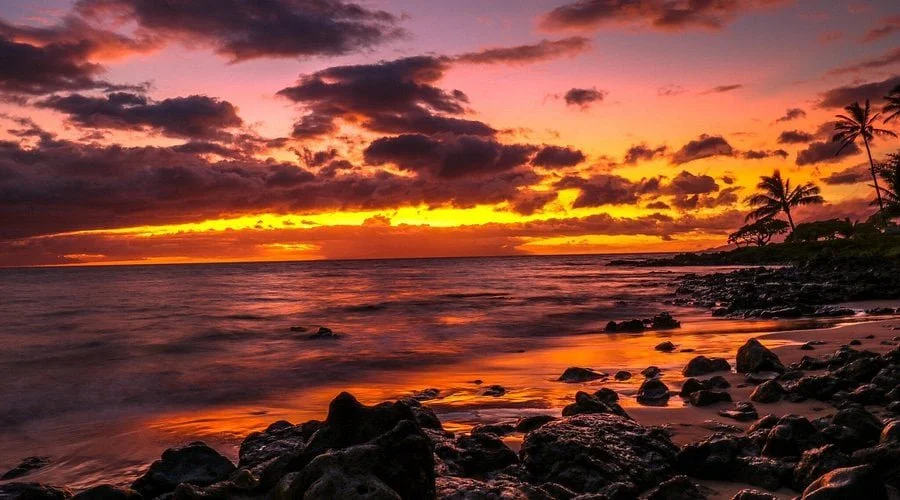 Which Hawaii Island Is Best? Maui vs Oahu vs Kauai vs Big Island Guide