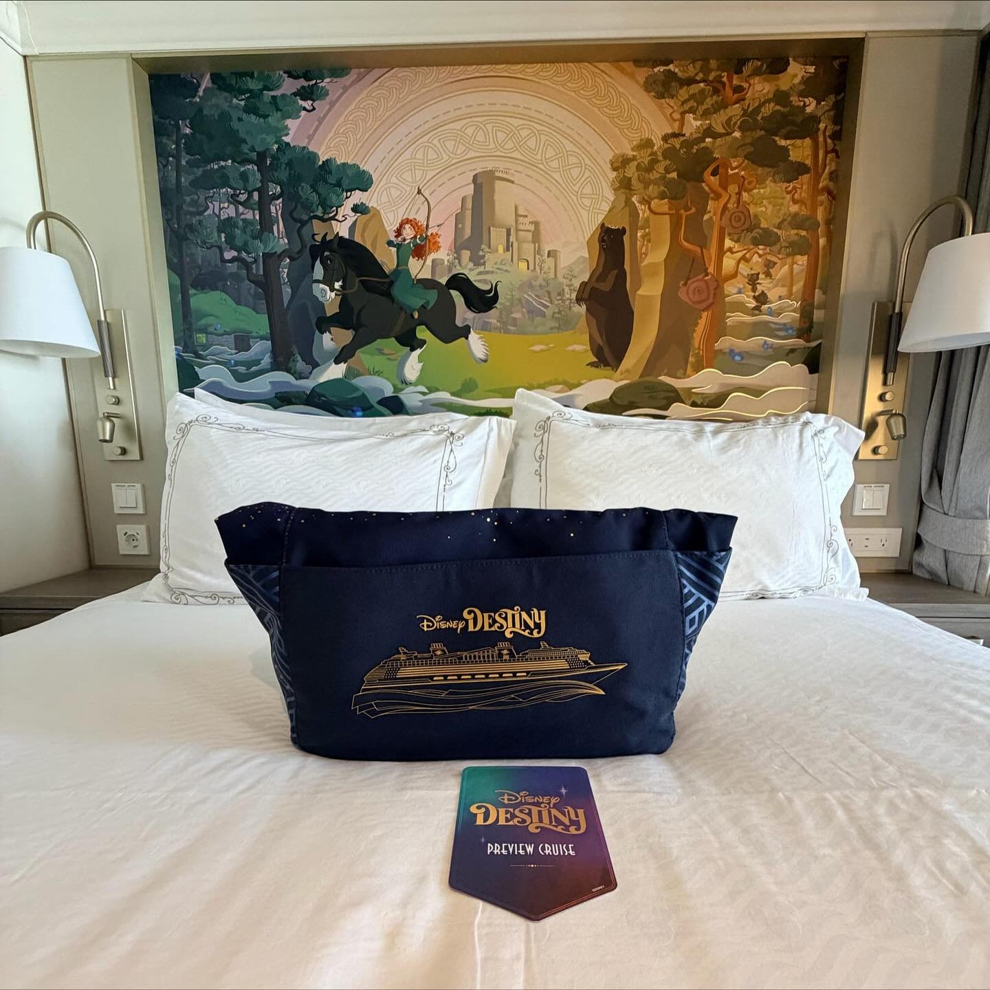 Disney Destiny Brave Room