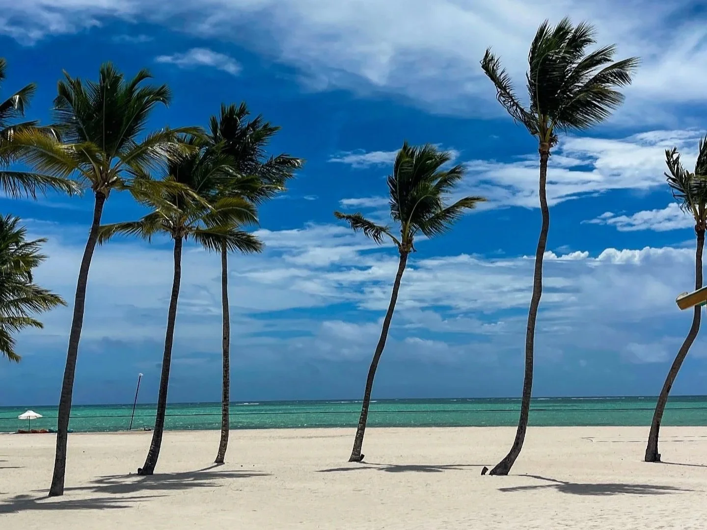 The best beach resort in punta cana