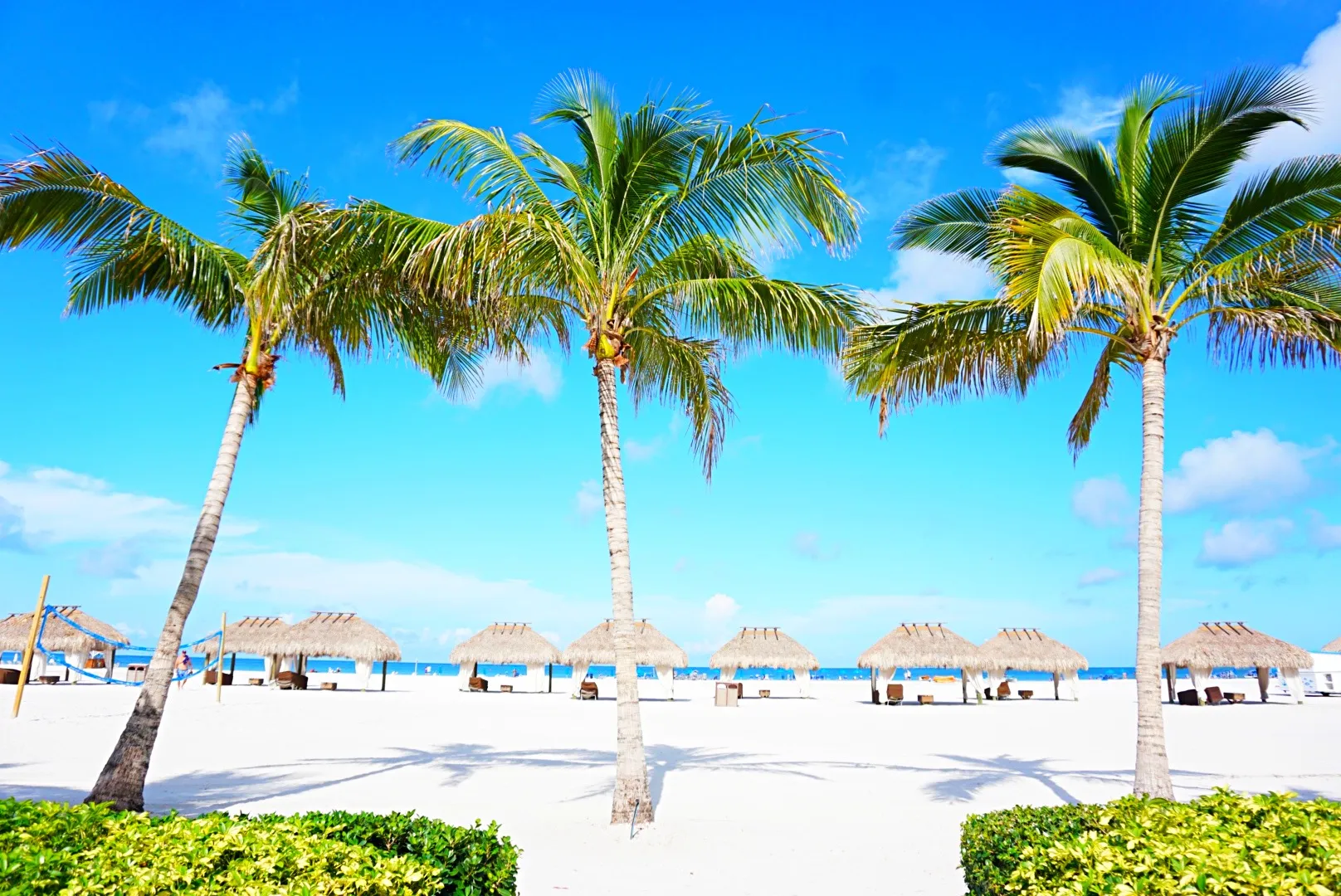 JW Marco Best Beach Resort