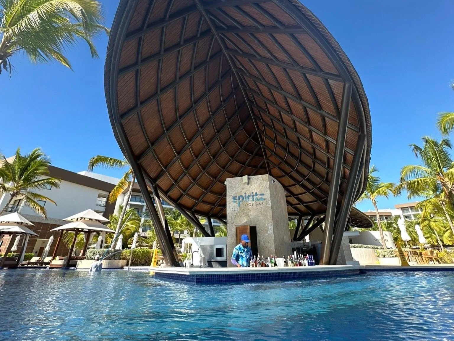 Hyatt Ziva Cap Cana pools