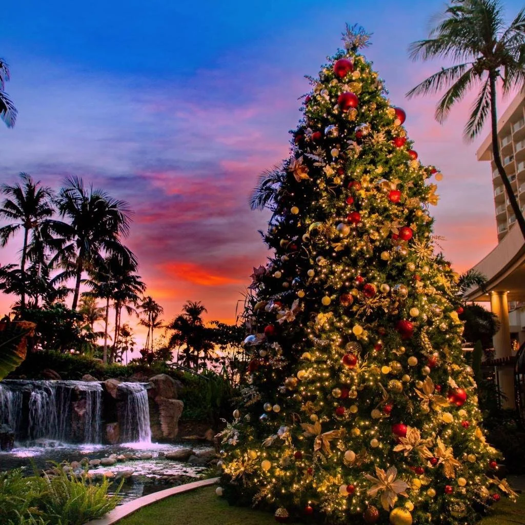 Maui Christmas