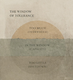 What Is the Window of Tolerance?