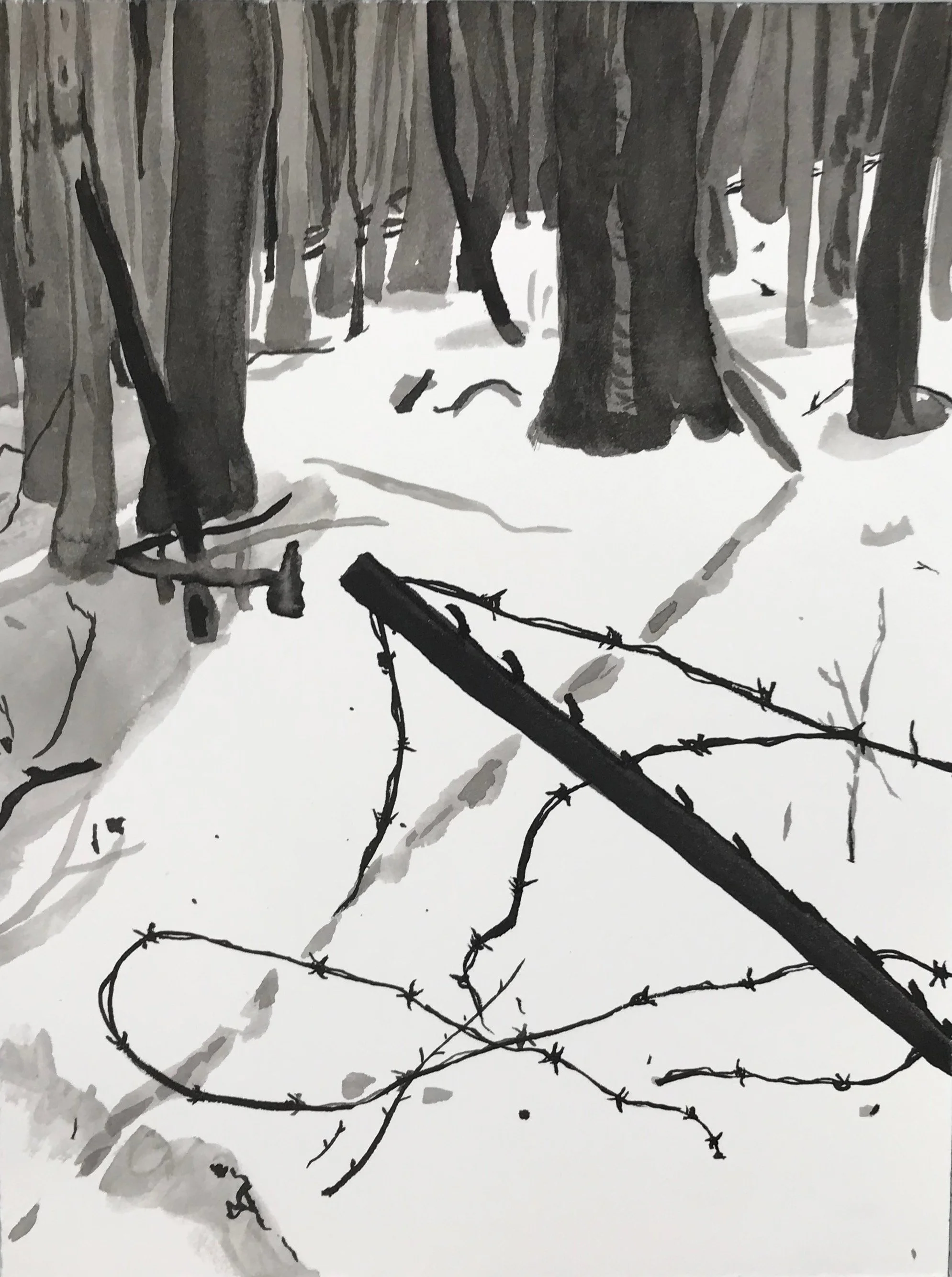 barbedwire.jpg