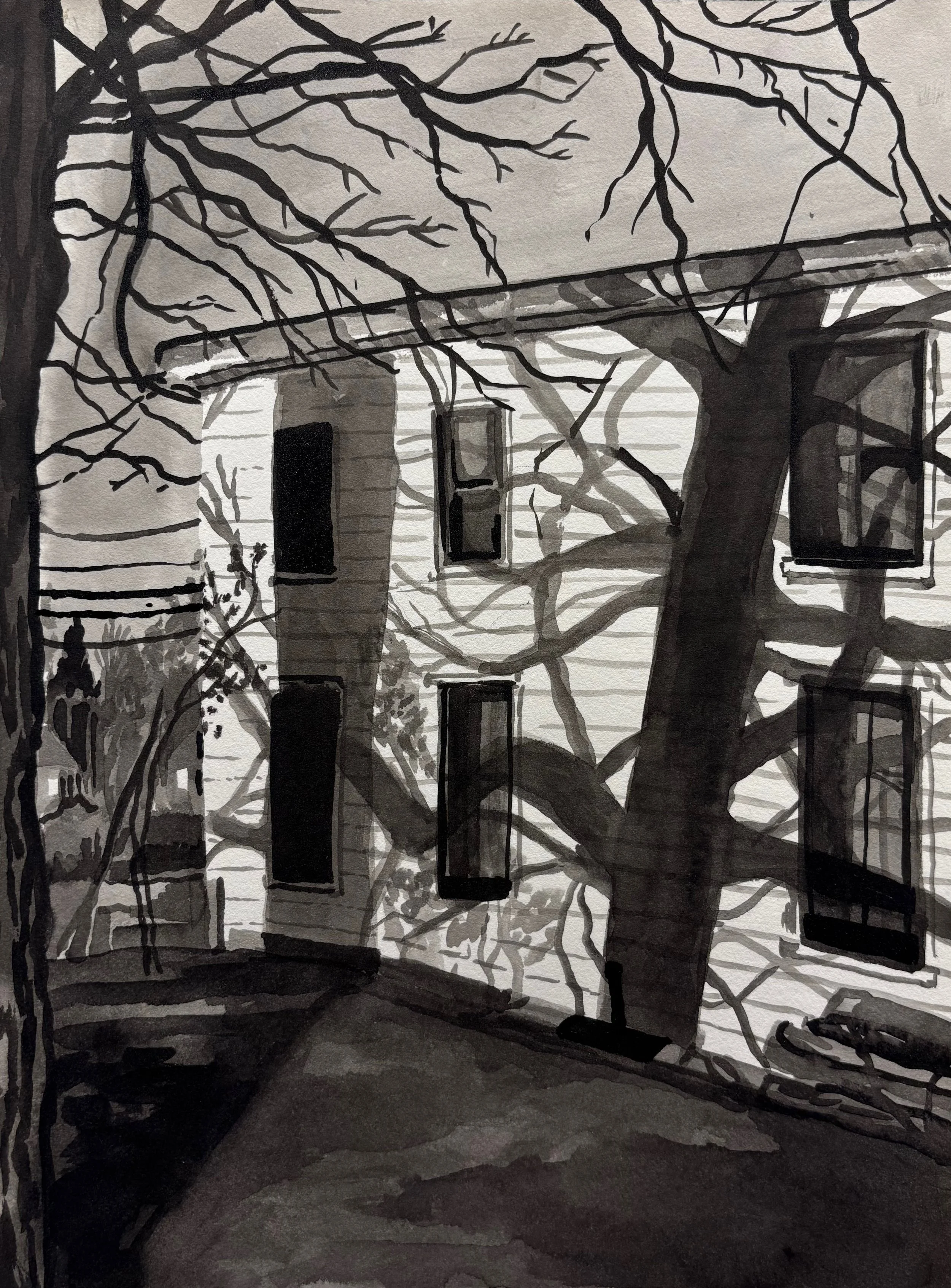 shadows.jpg