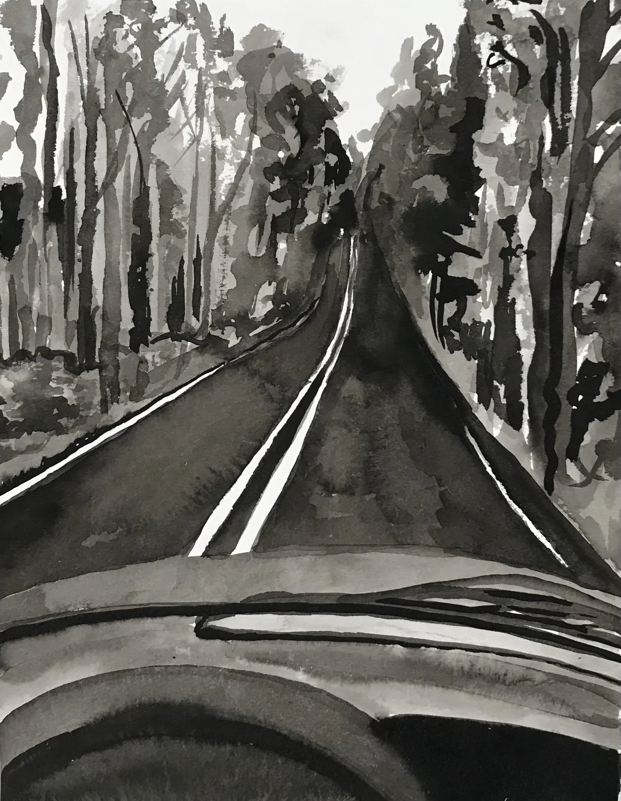 roadtonowhere.jpg