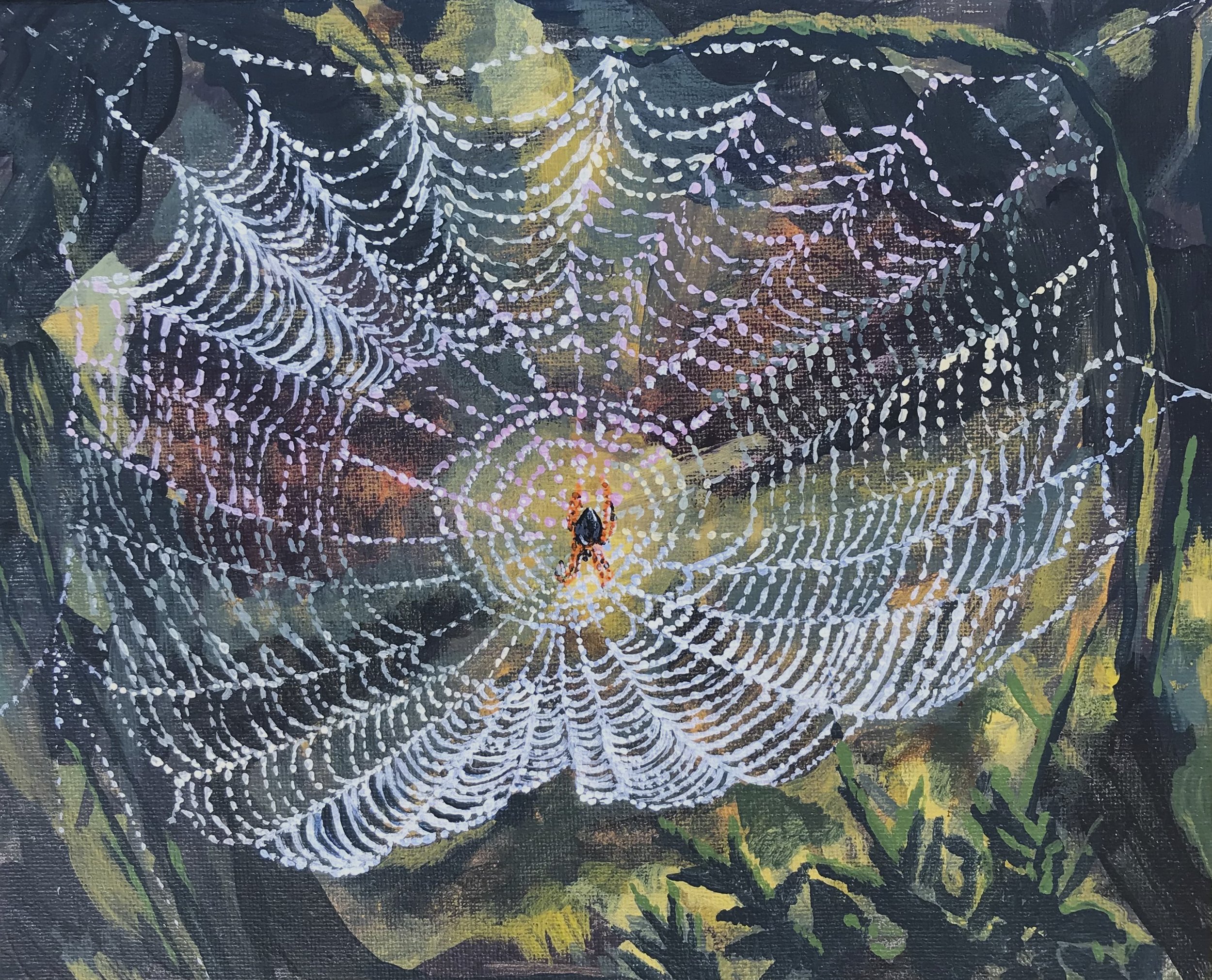 spiderweb.jpg